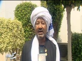 سودانيون يشاركون مصر أفراح نصر أكتوبر.. ودعوة لوحدة شعبي وادي النيل